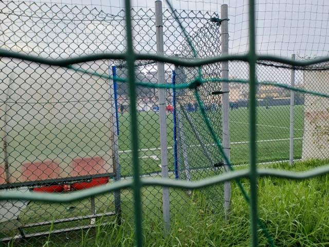 开云体育下载-【专栏】王勤伯：感谢女儿把我带回了另一个年纪