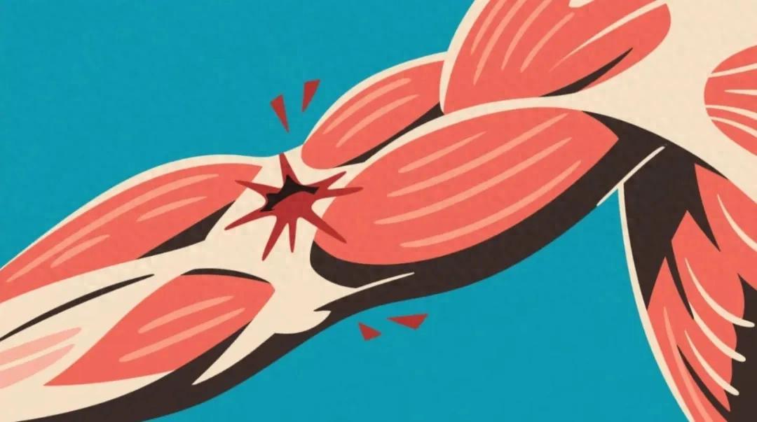 开云体育下载-警惕!小心这些药正在“溶解”你的肌肉